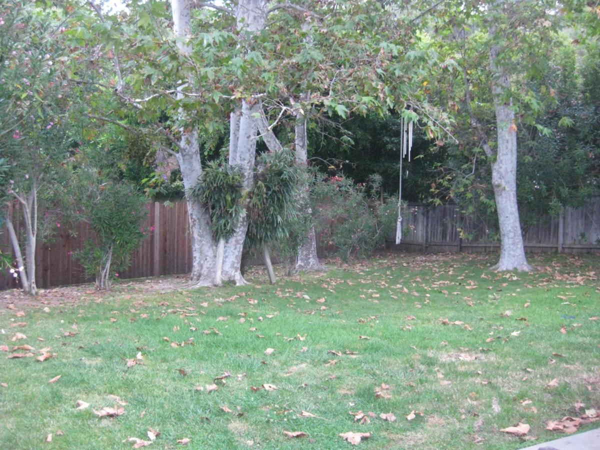 Heaven'S Best Kept Secret 4 Min From The Sea Los Angeles Exteriör bild