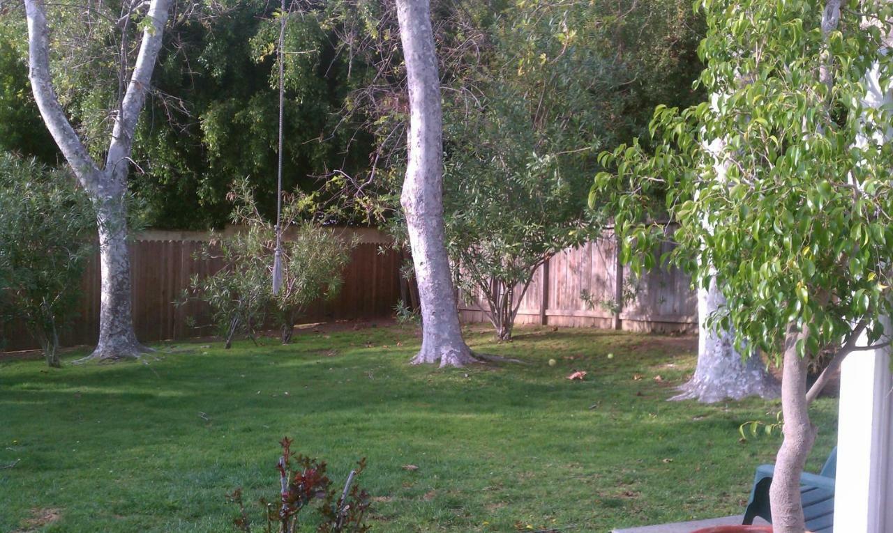 Heaven'S Best Kept Secret 4 Min From The Sea Los Angeles Exteriör bild