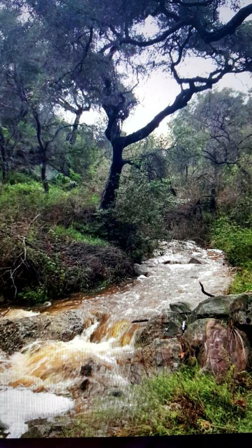 Heaven'S Best Kept Secret 4 Min From The Sea Los Angeles Exteriör bild