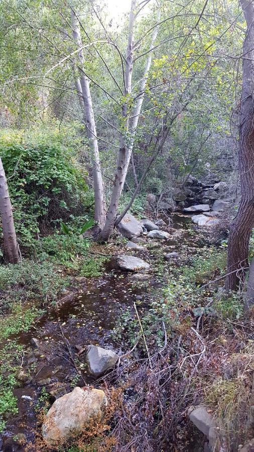 Heaven'S Best Kept Secret 4 Min From The Sea Los Angeles Exteriör bild